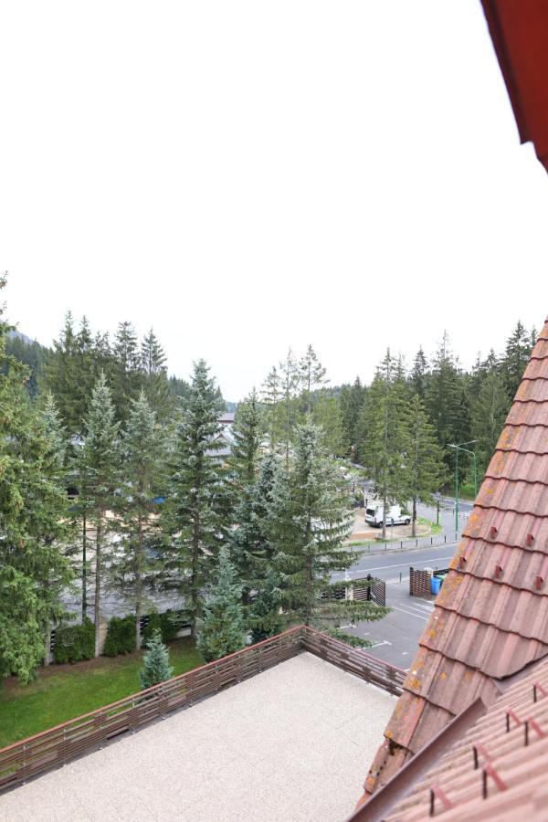 Vila Pinul Si Mesteacanul Poiana Brasov Exterior foto
