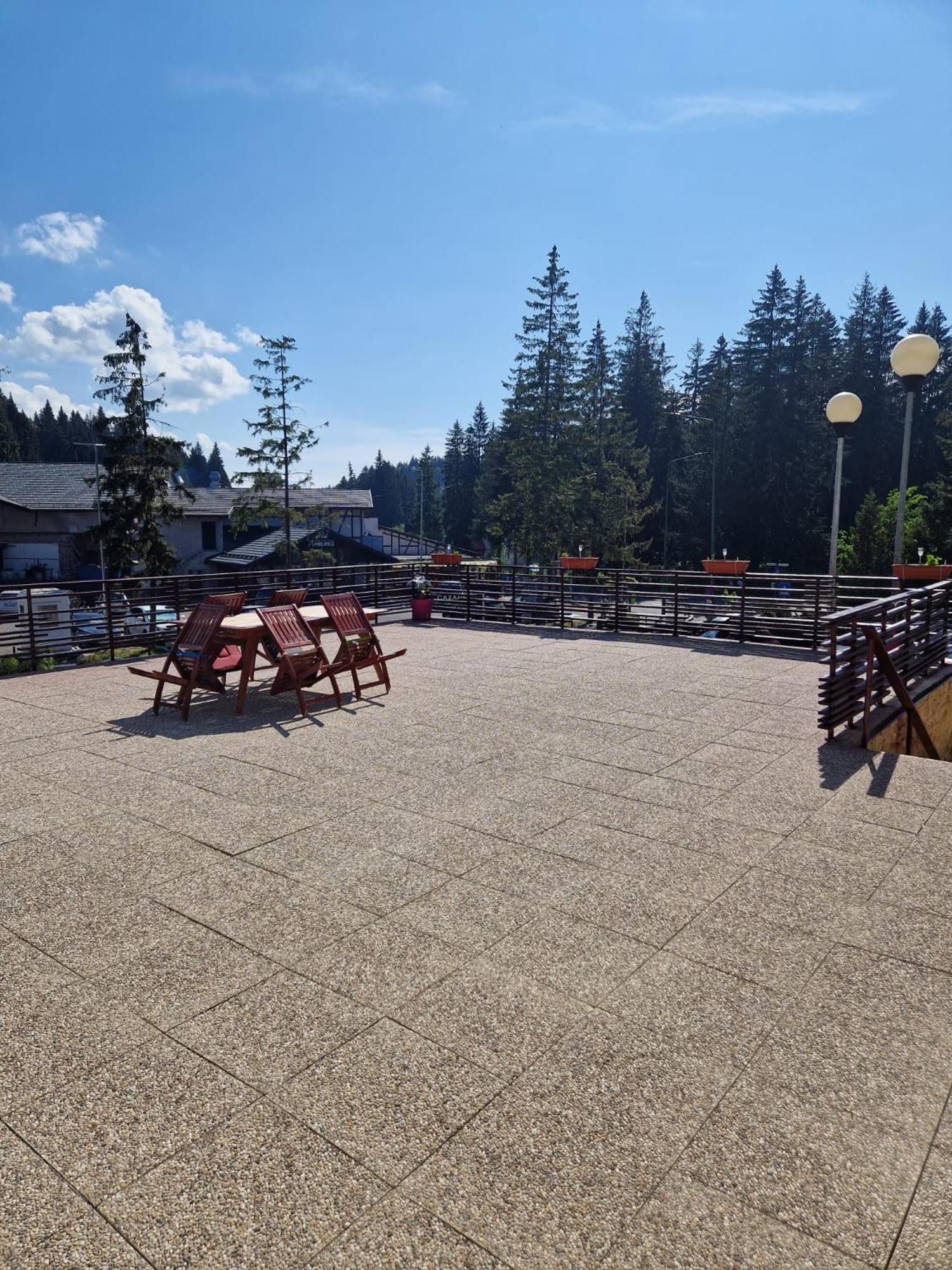 Vila Pinul Si Mesteacanul Poiana Brasov Exterior foto