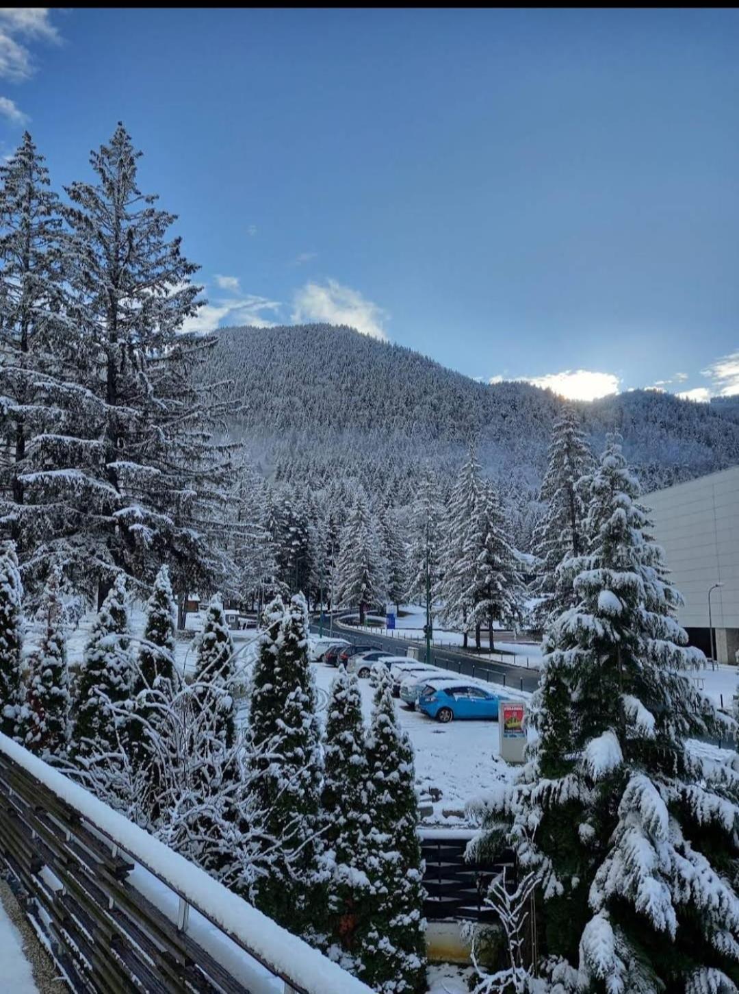 Vila Pinul Si Mesteacanul Poiana Brasov Exterior foto
