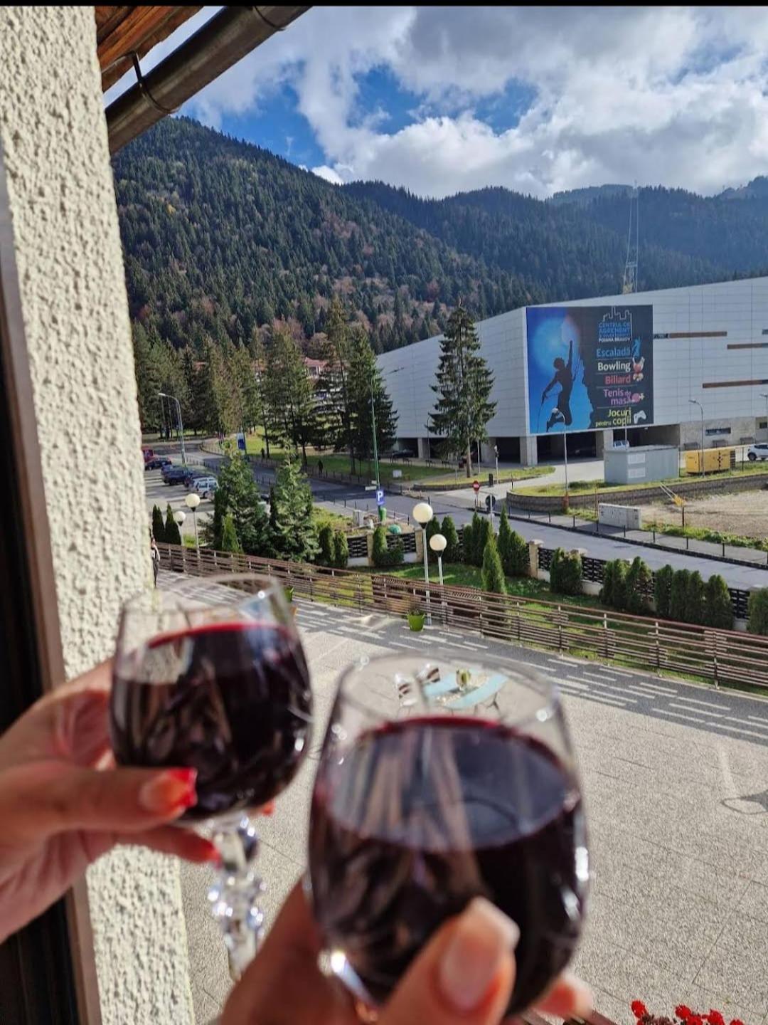 Vila Pinul Si Mesteacanul Poiana Brasov Exterior foto