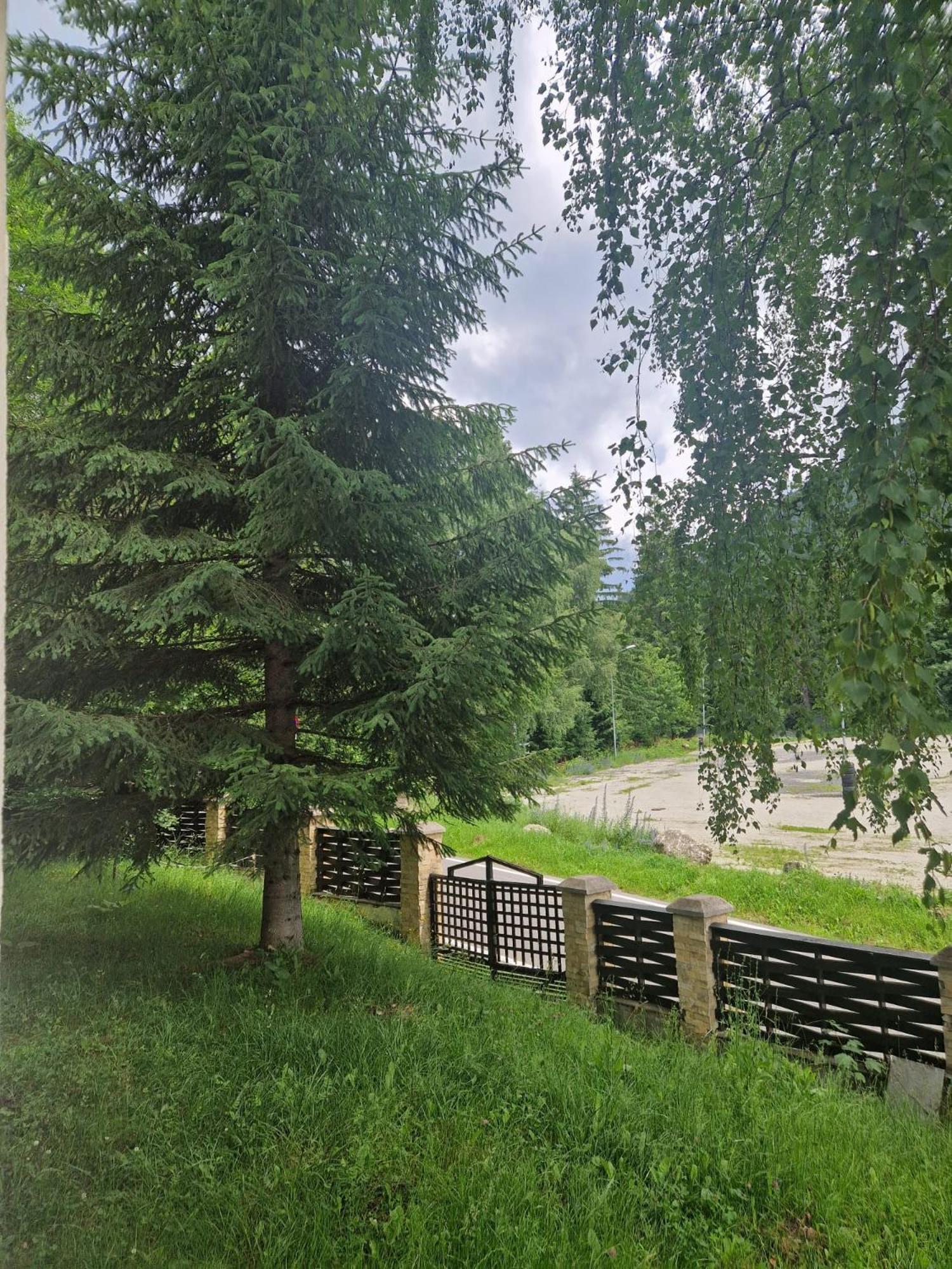Vila Pinul Si Mesteacanul Poiana Brasov Exterior foto