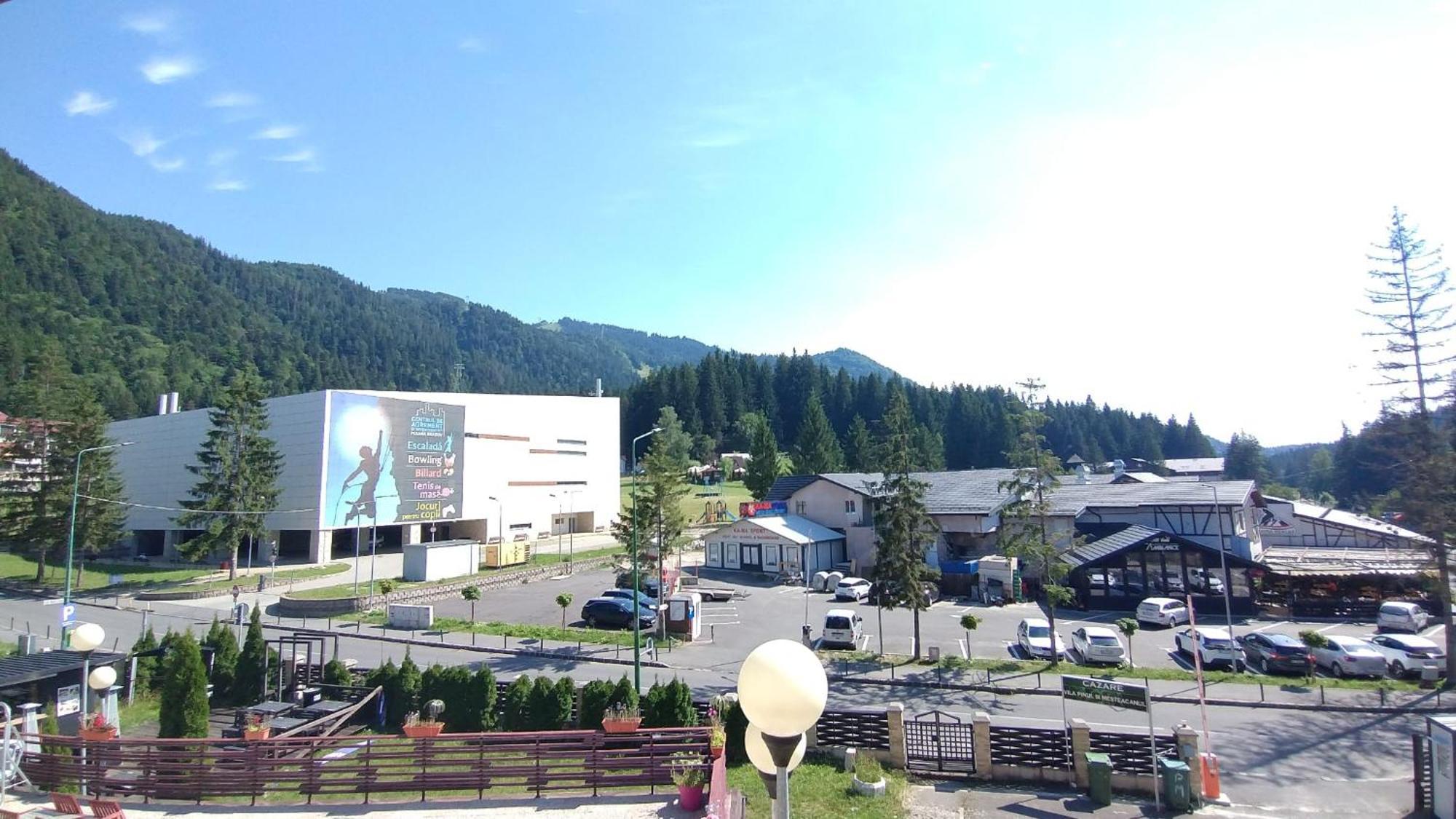 Vila Pinul Si Mesteacanul Poiana Brasov Exterior foto